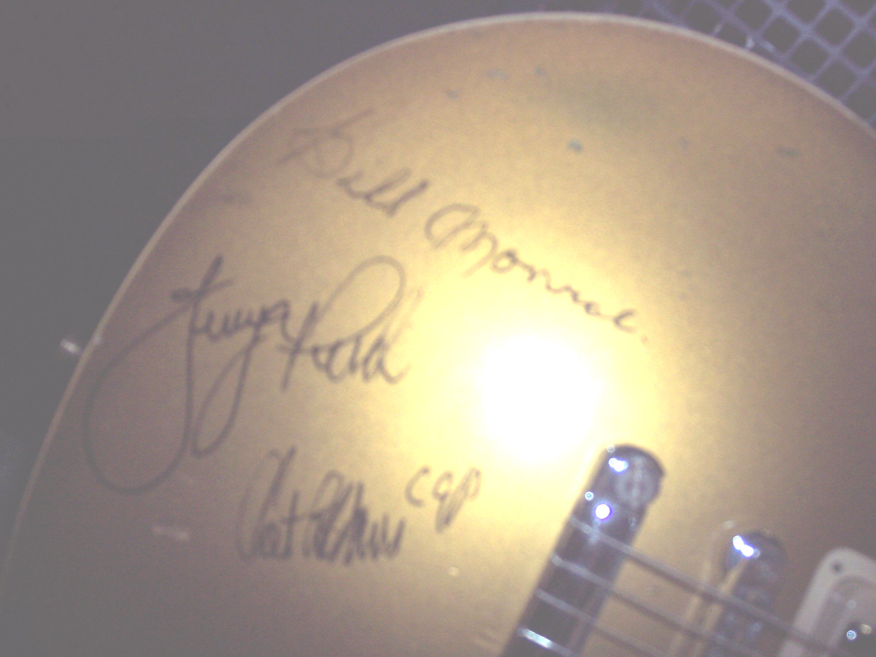 lespaulsignatures.jpg